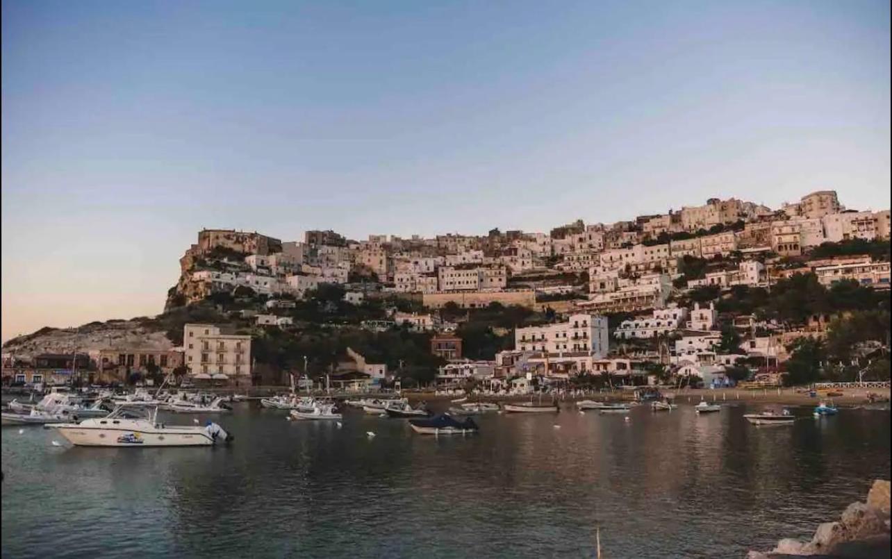 Casetta Direttamente Sul Mare 佩斯基奇 外观 照片